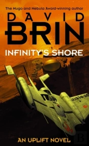 Infinity'S Shore