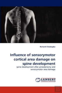 Bertrand.pt - Influence Of Sensorymotor Cortical Area Damage On Spine Development