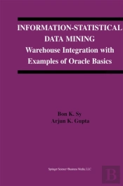 Information-Statistical Data Mining