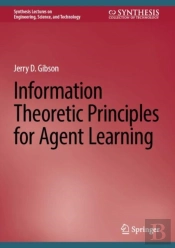 Information Theoretic Principles For Agent Learning