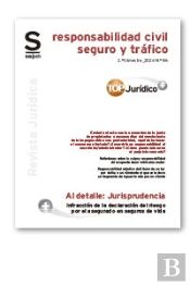 Infraccion De La Declaracion Del Riesgo Por El Asegurado En