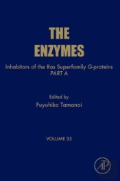Inhibitors Of The Ras Superfamily G-Proteins