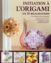 Initiation A L'Origami En 55 Realisations