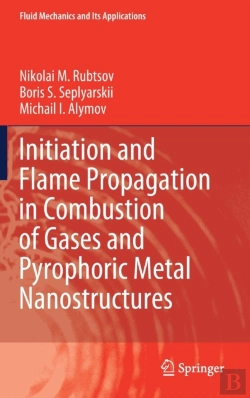 Bertrand.pt - Initiation And Flame Propagation In Combustion Of Gases And Pyrophoric Metal Nanostructures