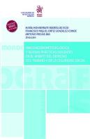Innovacion Metodologica Y Buenas Practicas Docentes En El Am