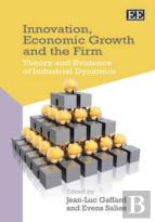 Innovation, Economic Growth And The Firm - Theory And Evidence Of Industrial Dynamics