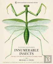Innumerable Insects
