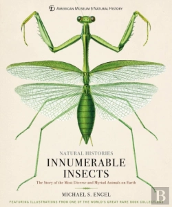 Bertrand.pt - Innumerable Insects