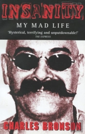 Insanity - My Mad Life
