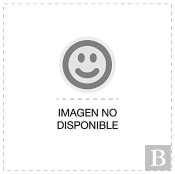 Inscripciones Romanas En La Provincia De Palencia