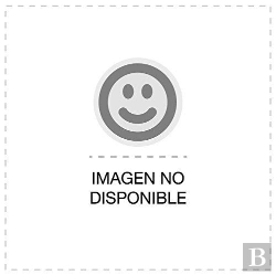 Bertrand.pt - Inscripciones Romanas En La Provincia De Palencia
