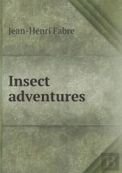 Insect Adventures