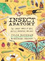 Insect Anatomy