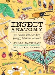 Insect Anatomy