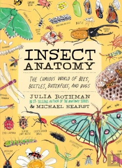 Bertrand.pt - Insect Anatomy