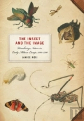 Insect And The Image