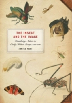 Bertrand.pt - Insect And The Image
