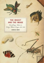Insect And The Image