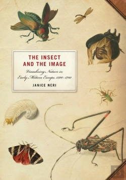 Bertrand.pt - Insect And The Image