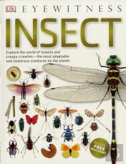 Insect