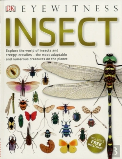 Bertrand.pt - Insect