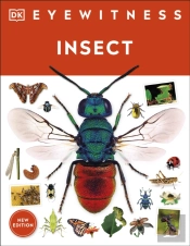 Insect