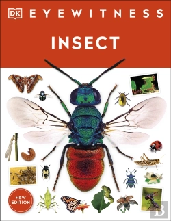 Bertrand.pt - Insect
