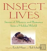 Insect