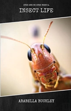 Bertrand.pt - Insect Life