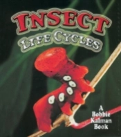 Insect Life Cycles