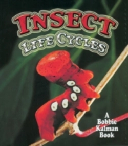 Bertrand.pt - Insect Life Cycles