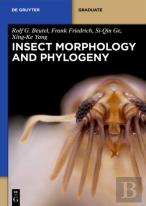 Insect Morphology And Phylogeny