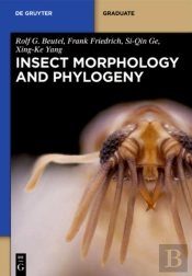 Insect Morphology And Phylogeny