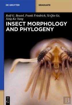 Bertrand.pt - Insect Morphology And Phylogeny