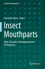 Insect Mouthparts