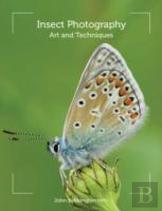Insect Photography