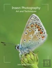 Insect Photography