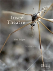 Insect Theatre