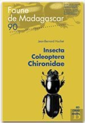Insecta Coleoptera Chironidae