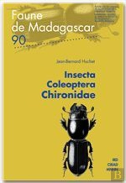 Bertrand.pt - Insecta Coleoptera Chironidae