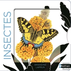 Bertrand.pt - Insectes