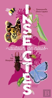Insectes Autour De Nous