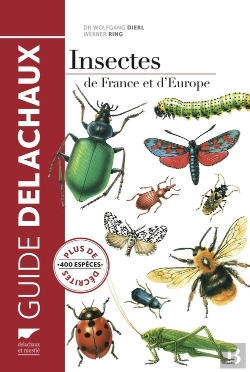 Bertrand.pt - Insectes De France Et D'Europe