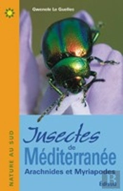 Insectes De Méditerranée