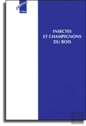 Insectes Et Champignons Du Bois