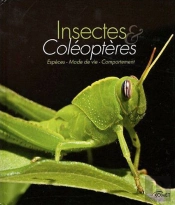 Insectes Et Coléoptères