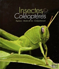Bertrand.pt - Insectes Et Coléoptères