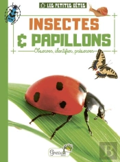 Insectes Et Papillons