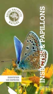 Insectes Et Papillons