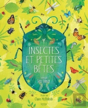 Insectes Et Petites Bêtes